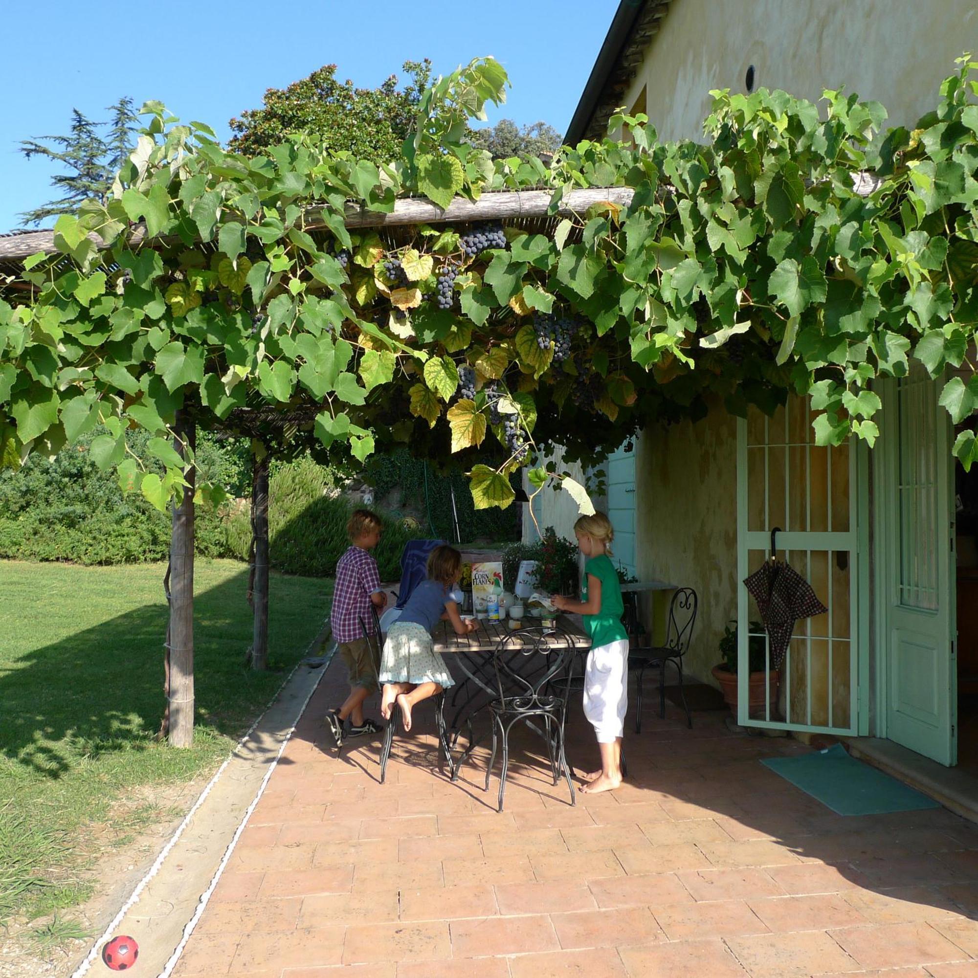 Azienda Agricola Fabbrica Di San Martino Лукка Екстер'єр фото