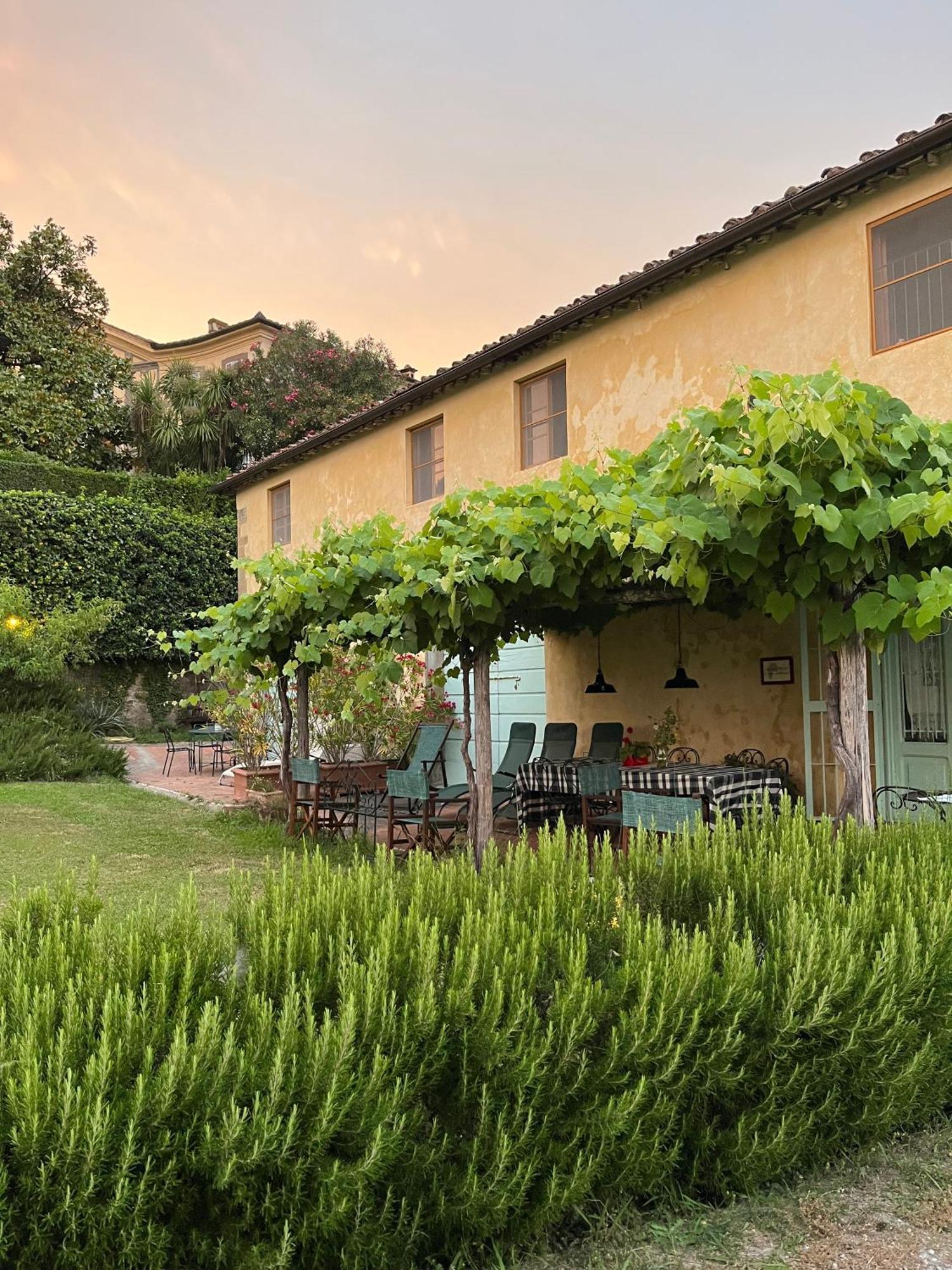 Azienda Agricola Fabbrica Di San Martino Лукка Екстер'єр фото