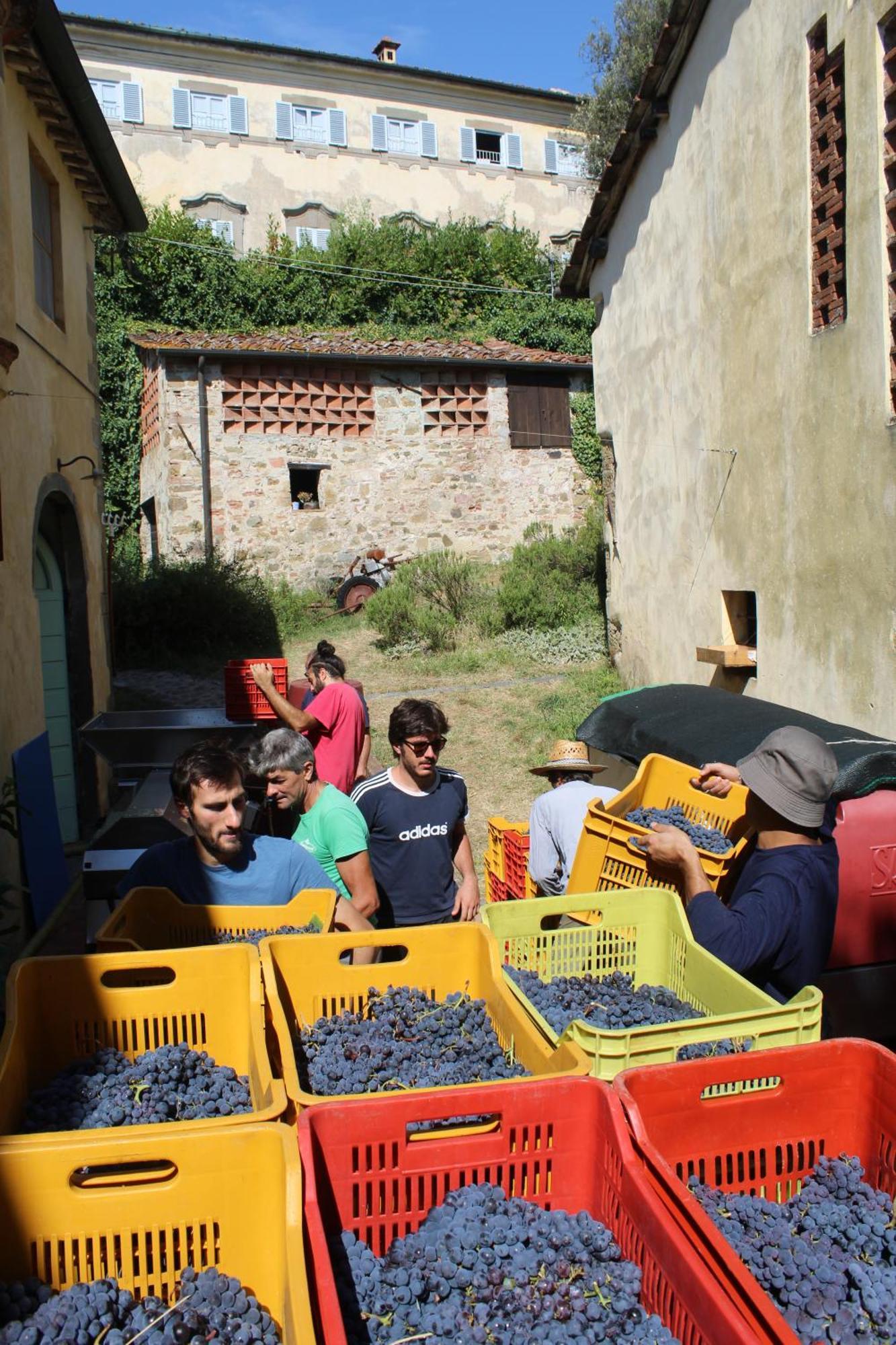 Azienda Agricola Fabbrica Di San Martino Лукка Екстер'єр фото