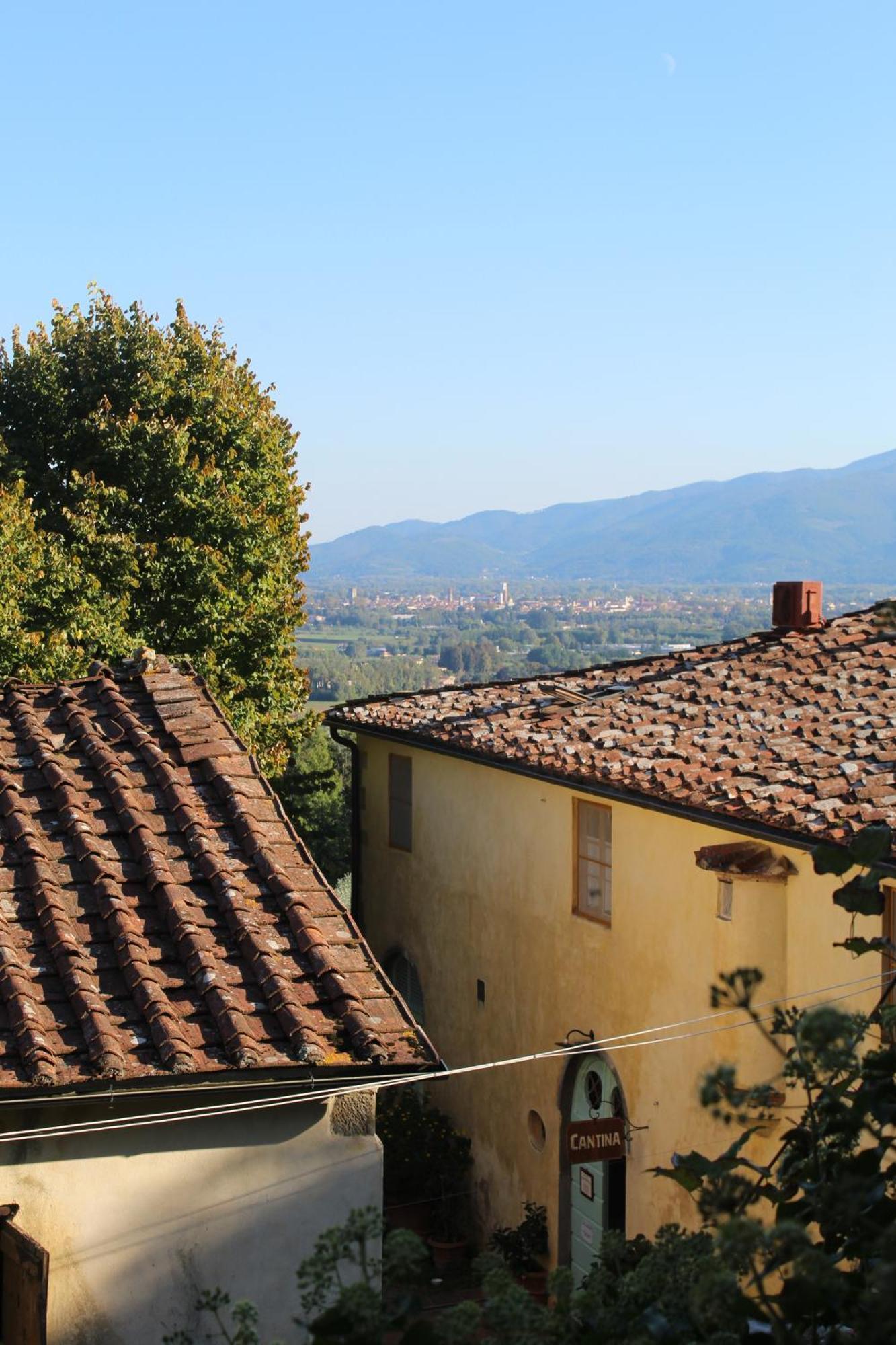 Azienda Agricola Fabbrica Di San Martino Лукка Екстер'єр фото