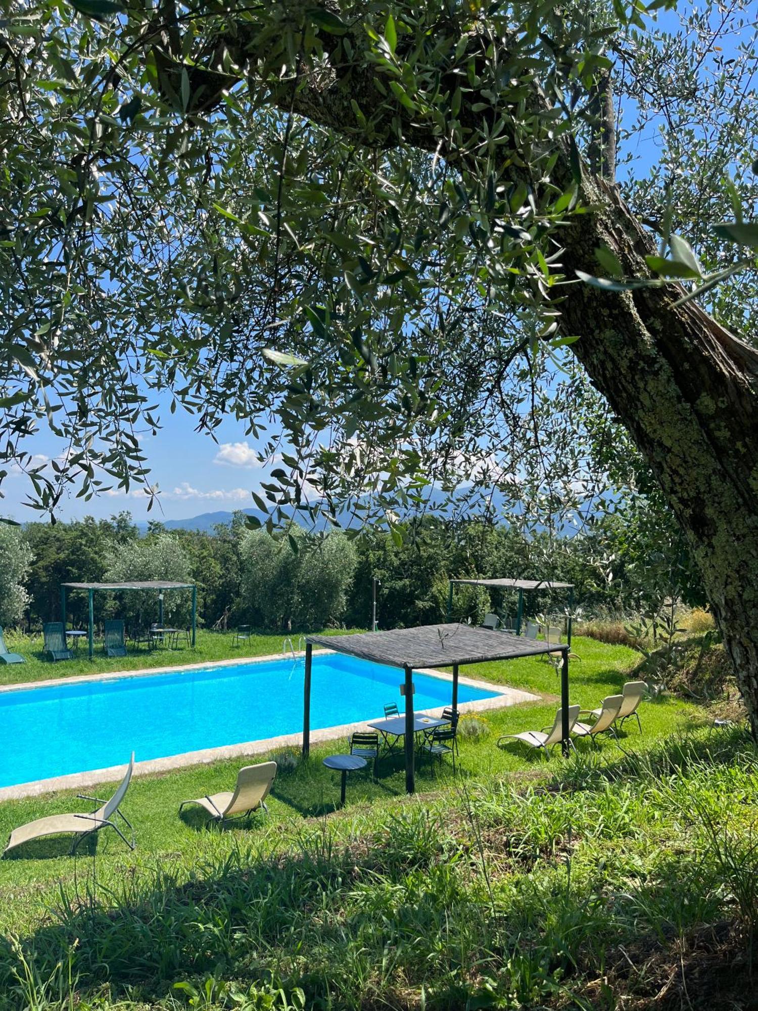 Azienda Agricola Fabbrica Di San Martino Лукка Екстер'єр фото